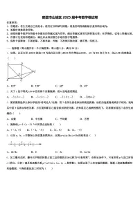 鹤壁市山城区2025届中考数学模试卷含解析