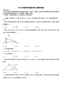 2025年福州市闽清县中考二模数学试题含解析