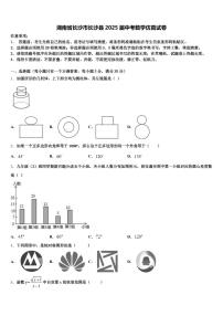 湖南省长沙市长沙县2025届中考数学仿真试卷含解析