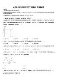 上林县2024-2025学年中考考前最后一卷数学试卷含解析