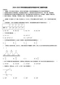 2024-2025学年安徽省合肥市庐阳区中考二模数学试题含解析