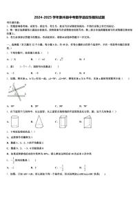 2024-2025学年象州县中考数学适应性模拟试题含解析