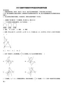 2025届南平市建瓯市中考适应性考试数学试题含解析