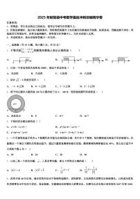 2025年射阳县中考数学最后冲刺浓缩精华卷含解析
