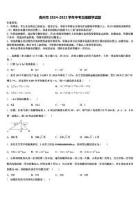 高州市2024-2025学年中考五模数学试题含解析