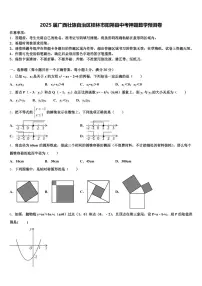 2025届广西壮族自治区桂林市阳朔县中考押题数学预测卷含解析