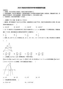 2025年崇左市凭祥市中考冲刺卷数学试题含解析