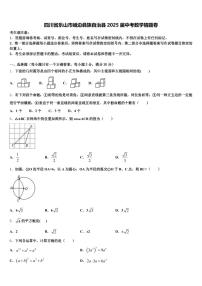四川省乐山市峨边彝族自治县2025届中考数学猜题卷含解析
