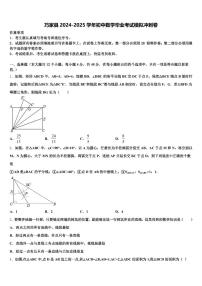 巧家县2024-2025学年初中数学毕业考试模拟冲刺卷含解析