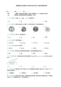 贵州省遵义市红花岗区2025年初中学业水平九年级下第二次模拟考试数学试卷（含答案解析）