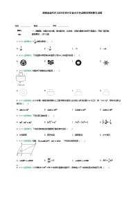 湖南省益阳市2025年初中学业水平考试九年级下模拟预测数学试题（含答案解析）