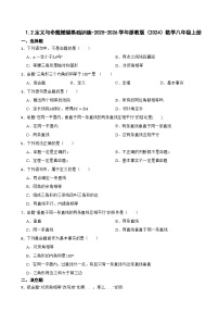 初中数学浙教版（2024）八年级上册（2024）1.2 定义与命题精练