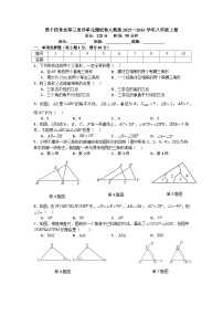 初中全等三角形单元测试课时作业