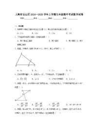 上海市宝山区2024--2025学年上学期九年级期中考试数学试卷