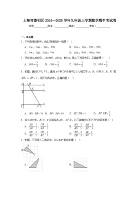 上海市崇明区2024—2025学年九年级上学期数学期中考试卷