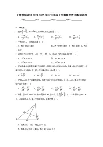 上海市杨浦区2024-2025学年九年级上学期期中考试数学试题