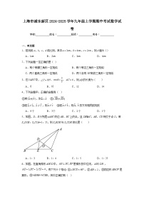 上海市浦东新区2024-2025学年九年级上学期期中考试数学试卷