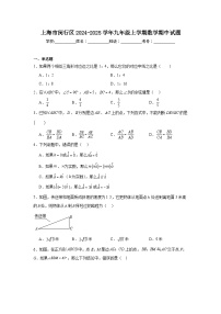 上海市闵行区2024-2025学年九年级上学期数学期中试题