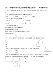 2024-2025学年上海市民办至德实验学校七年级（下）期末数学试卷（含解析）