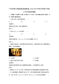 广东省佛山市南海区桂城街道2024-2025学年九年级下学期6月月考数学试卷（解析版）