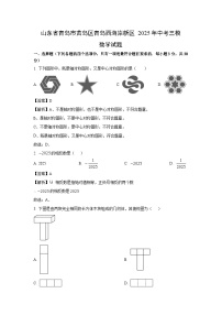 山东省青岛市黄岛区青岛西海岸新区2025年中考三模数学试题（解析版）