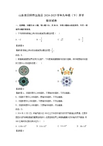 山东省日照市五莲县2024-2025学年九年级（下）开学数学试题（解析版）