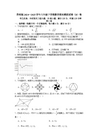 苏科版2024—2025学年八年级下学期数学期末模拟试卷（B）卷
