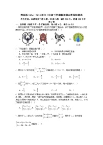 苏科版2024—2025学年七年级下学期数学期末质量检测卷