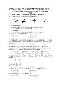 苏科版2024—2025学年七年级下学期数学期末复习提分训练（一）