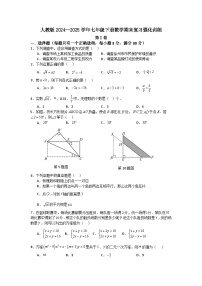 人教版2024—2025学年七年级下册数学期末复习强化训练