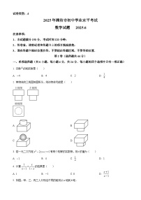 2025年山东省潍坊市中考数学真题含答案