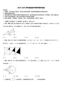 2024-2025学年富裕县中考联考数学试题含解析