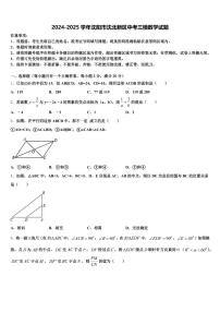 2024-2025学年沈阳市沈北新区中考三模数学试题含解析