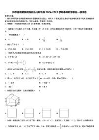 黔东南南苗族侗族自治州岑巩县2024-2025学年中考数学最后一模试卷含解析