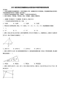 2025届甘肃省甘南藏族自治州夏河县中考数学模拟预测试卷含解析
