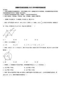 西藏林芝地区波密县2025年中考数学四模试卷含解析