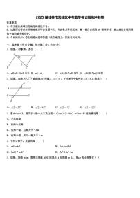 2025届桂林市秀峰区中考数学考试模拟冲刺卷含解析