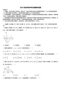 2025年连平县中考五模数学试题含解析