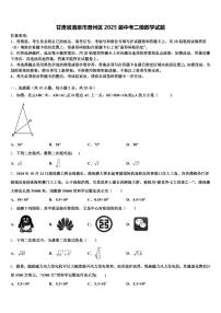 甘肃省酒泉市肃州区2025届中考二模数学试题含解析