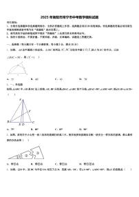 2025年衡阳市常宁市中考数学模拟试题含解析
