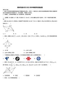 郴州市资兴市2025年中考数学仿真试卷含解析