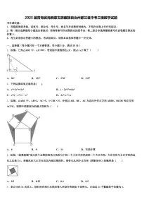 2025届青海省海西蒙古族藏族自治州都兰县中考三模数学试题含解析