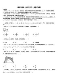 咸阳市彬县2025年中考一模数学试题含解析