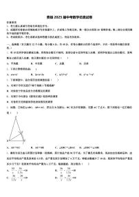 费县2025届中考数学仿真试卷含解析