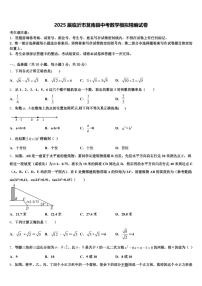 2025届临沂市莒南县中考数学模拟精编试卷含解析