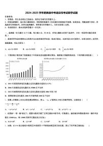 2024-2025学年肥西县中考适应性考试数学试题含解析