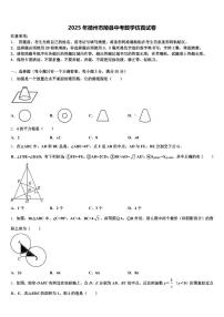 2025年德州市陵县中考数学仿真试卷含解析
