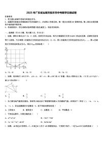 2025年广东省汕尾市陆丰市中考数学五模试卷含解析