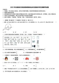 2025年云南省红河哈尼族彝族自治州元阳县中考五模数学试题含解析