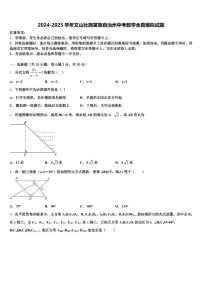 2024-2025学年文山壮族苗族自治州中考数学全真模拟试题含解析